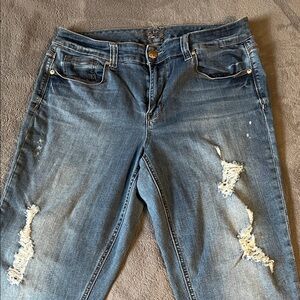 Melissa McCarthy Light Blue Distressed Boyfriend Jeans